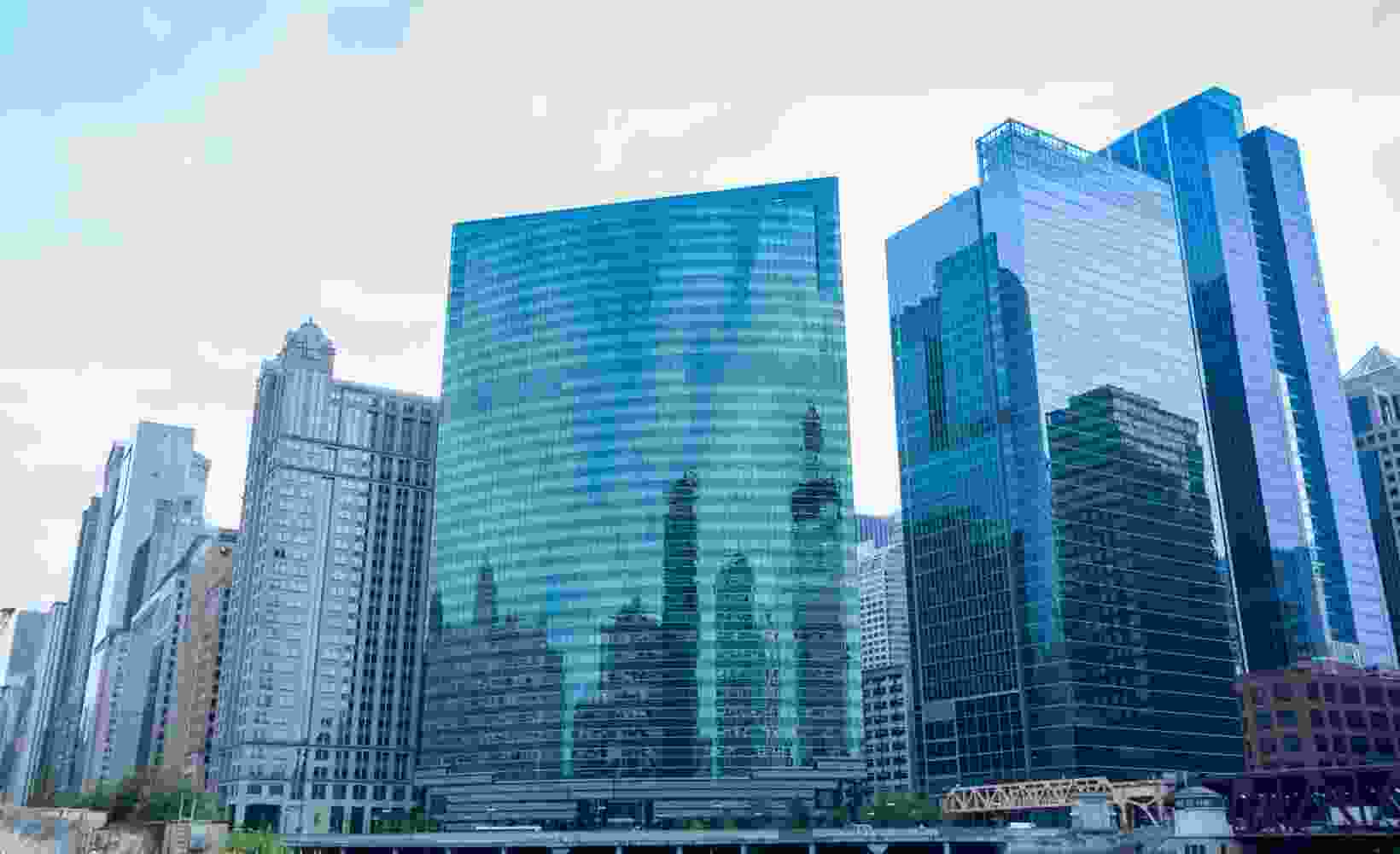 Listing Taxonomy Image