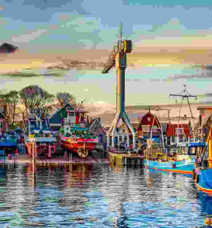 Listing Taxonomy Image